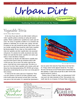 February 2019 Urban Dirt Cover