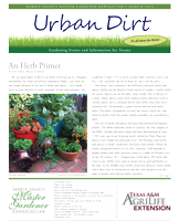 March 2019 Urban Dirt Cover