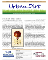 September 2019 Urban Dirt Newsletter Cover