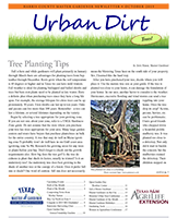 October 2019 Urban Dirt Newsletter Cover