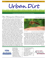 November 2019 Urban Dirt Newsletter Cover