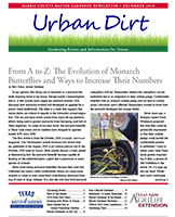 December 2019 Urban Dirt Newsletter Cover