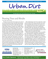 January 2020 Urban Dirt Cover
