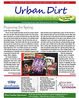 February 2020 Urban Dirt Cover