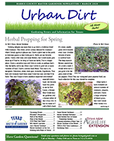 March 2020 Urban Dirt Cover