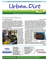 April 2020 Urban Dirt Newsletter Cover