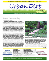 June 2020 Urban Dirt Newsletter Cover