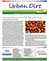 July 2020 Urban Dirt Newsletter Cover