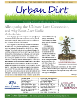 September 2020 Urban Dirt Newsletter Cover