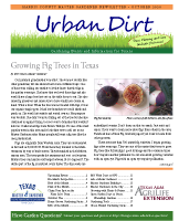 October 2020 Urban Dirt Newsletter Cover