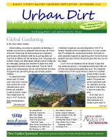 November 2020 Urban Dirt Newsletter Cover