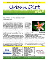 June 2021 Urban Dirt Newsletter