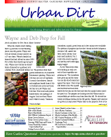 July 2021 Urban Dirt Newsletter