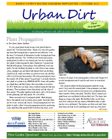 October 2021 Urban Dirt Newsletter