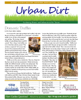November 2021 Urban Dirt Newsletter