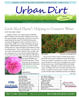 April 2022 Urban Dirt Cover