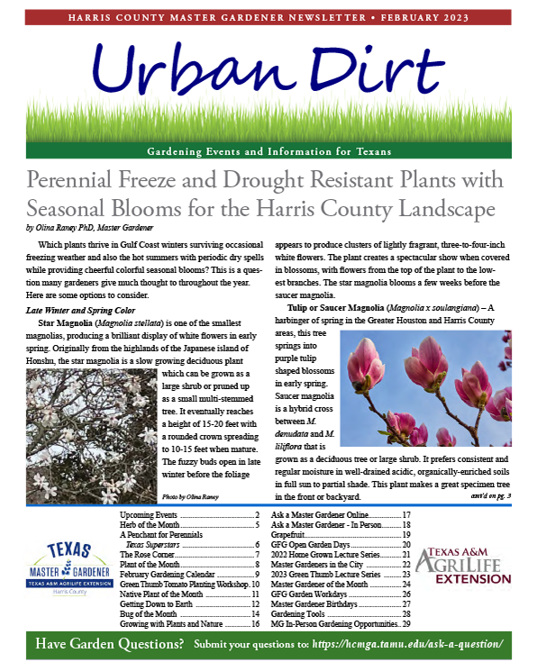 February 2023 Urban Dirt Cover
