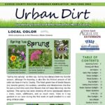 May and June 2024 Urban Dirt Newsletter