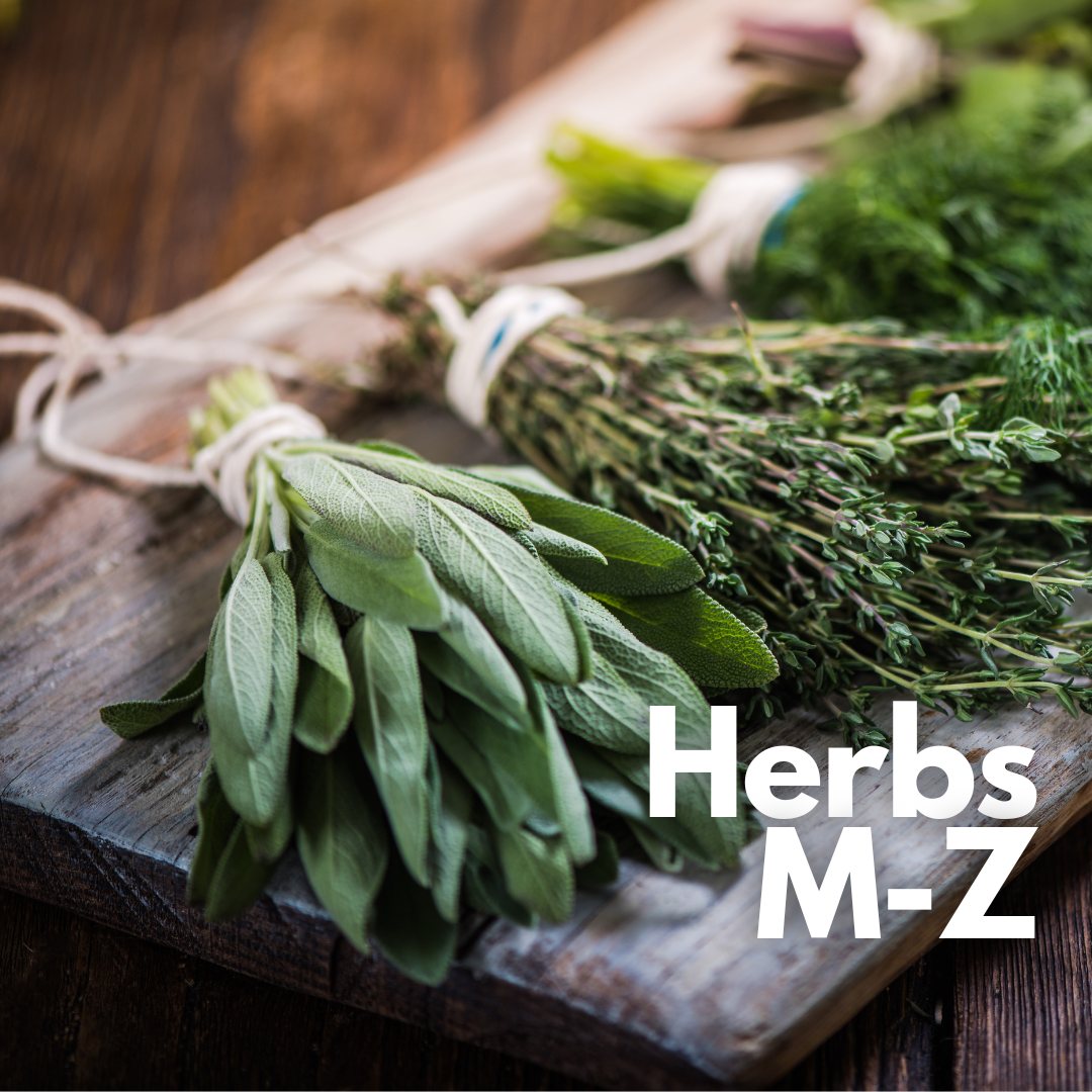 image: bundles of herbs