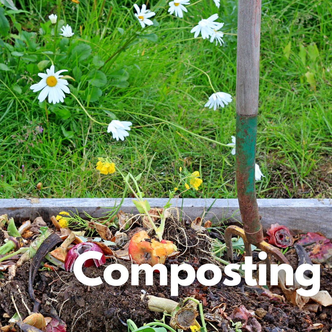 image: compost pile 