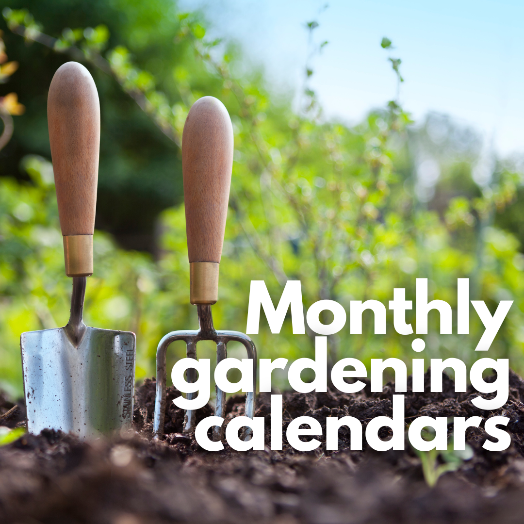 image: gardening tools in soil
